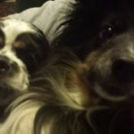 Donna Burroughs - @burroughs2074 - Instagram