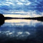 Donna Bush - @donnaandralphbush - Instagram