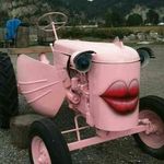 Donna Bush - @bushdonna57 - Instagram