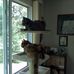 Donna Bushnell - Facebook