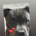 Donna Butcher - @sapphire13mia - Instagram
