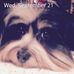 Donna Buzzard - Facebook