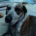 Donna Buzzard - Facebook