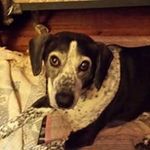 Donna Cable - @donnancookie - Instagram
