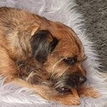 Donna Cairns - @cairns.donna - Instagram