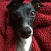 Donna Calabrese - Facebook