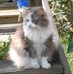 Donna Call - Facebook