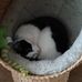Donna Call - Facebook