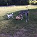Donna Call - Facebook