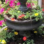Donna Callaway - @nonna_callaway - Instagram