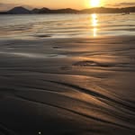 Donna Callistini - @donna_callistini - Instagram