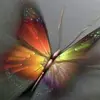 Donna Camp - @donna.camp1 - TikTok