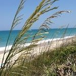 Donna Capps - @donnacspps - Instagram