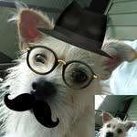 Donna Capps - @donna.capps.71 - Instagram