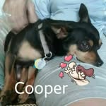Donna Capps  I ♥♥Pictures - @djc.old.lady - Instagram