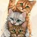 Donna Carl - Facebook