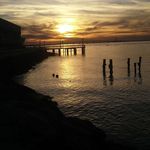 Donna Carlin - @donna.carlin.1 - Instagram
