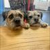 Donna Carlin - Facebook
