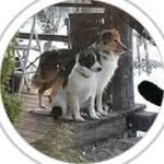 Donna Carlucci - @kindred_spirit_farm_ - Instagram
