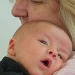 Donna Cavin Morse - @cavinmorse - Instagram