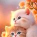 Slandar Danna - Facebook