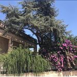 B&B Donna Celeste - @bbdonnaceleste - Instagram
