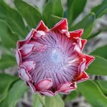 Donna Cera - @dmc1961 - Instagram