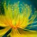 Donna Cera - Facebook
