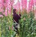 Donna Cera De Vera - Facebook
