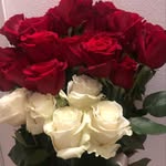 Donatella Cerini - @donatella.cerini - Instagram