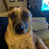 donnacerny - @donnacerny - TikTok