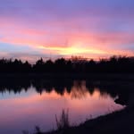 Donna Chambless - @chambless_donna - Instagram