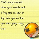 Donna Chamness - @donnachamness - Instagram