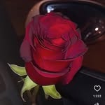 𝓓𝓸𝓷𝓷𝓪♥️𝓒𝓱𝓪𝓷𝓷𝓮𝓵 - @donaa8806 - Instagram
