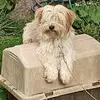 donnachannell - @donna.channell0 - TikTok