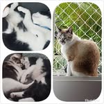 Pietra e Carla - @channel_donna_fillipa_godot - Instagram