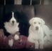 Donna Chapin - Facebook