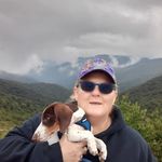 Donna Charette - @dlcharette - Instagram