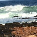 Donna Charette Lambert - @donnalambert9966 - Instagram