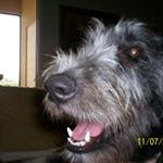 Donna Charlton - @dcrn78 - Instagram