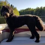 Donna Charlton MacPhail - @donna.l.macphail - Instagram
