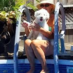 Donna Monaghan-Chartrand - @dutchess.mamabear - Instagram