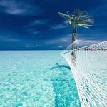 Donna Chatman - @donna.chatman.108 - Instagram