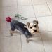Donna Cheely - Facebook