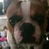 Dojo - @donnacheeseman - TikTok