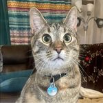 Donna Cheetham - @cheetham.donna - Instagram