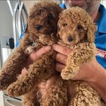 Donna Chenoweth - @donnachenoweth - Instagram
