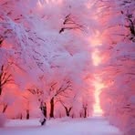 Donna Cherry - Facebook