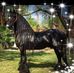 Donna Chesser - Facebook