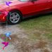 Donna Chesser - Facebook